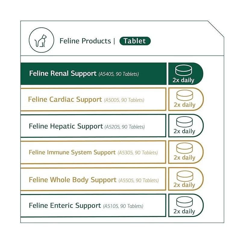 Standard Process Feline Renal Support thumbnail 3