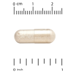 California Gold Nutrition Saccharomyces Boulardii 5 Billion Cfu per Cap 60 Veggie Capsules