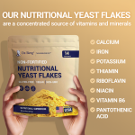 Dr Berg Nutritional Yeast Flakes Gluten-Free, Vegan, Non-Gmo – 8 Oz