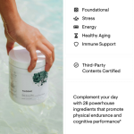 Daily Greens Plus by Thorne - 30 Scoops