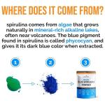 Lone Star Botanicals Organic Blue Spirulina Powder