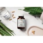 MenoLabs MenoFit Complete Probiotic - Boost Metabolism & Aid Digestion