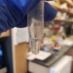 Chemical Chloroform Spray Effects on Human Deep Sleep Spray Chcl3 Chloroform Available in Pakistan