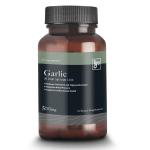 Tg’s Garlic Allium Sativum Linn